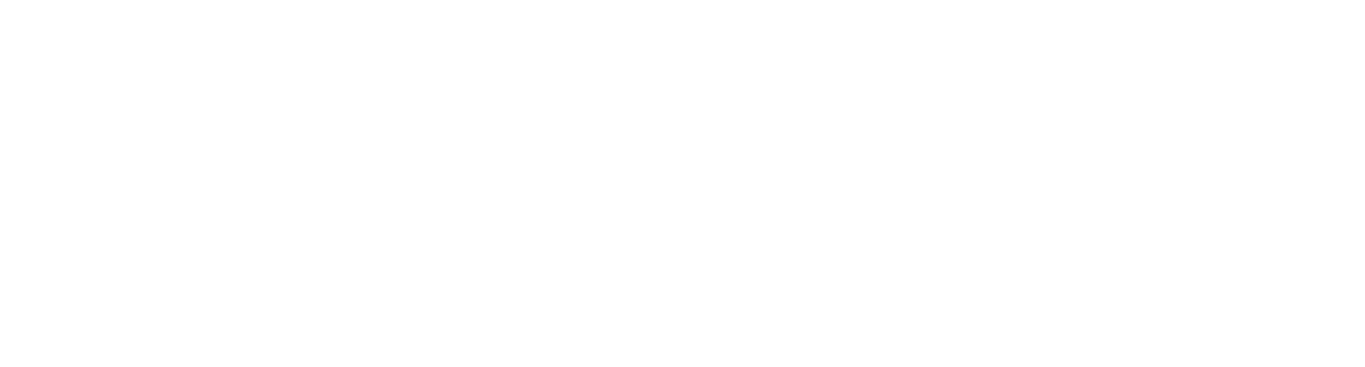 AslanWP
